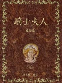 骑士夫人模拟器百度