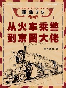 重生75从火车乘警到京圈大佬视频