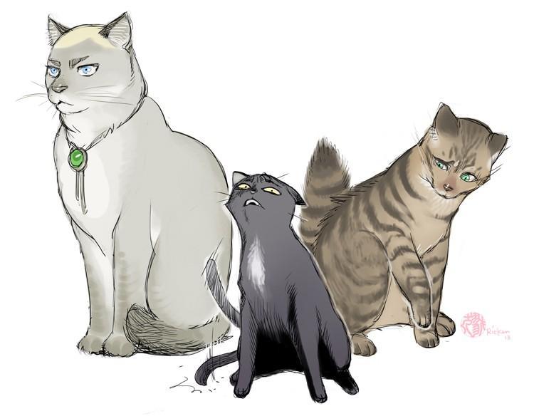 三个人性关系会得病吗