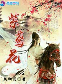 紫鸢花比喻什么女人