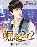崛起2013