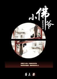 小佛爷1至55集免费观看