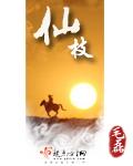 仙枝子御风膏的功效和作用