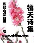 桃夭注解