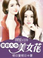 我的大小美女花明日复明日免费阅读
