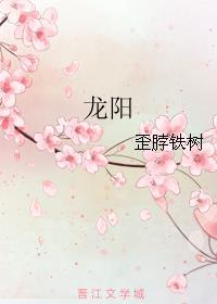 龙阳路大站车时间表