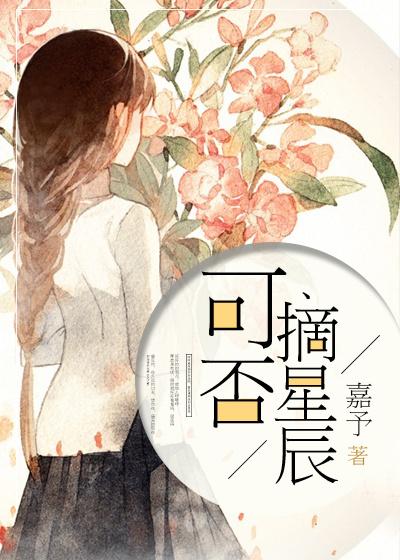 可摘星辰的上一句