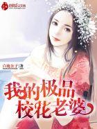 我的极品校花老婆叶子